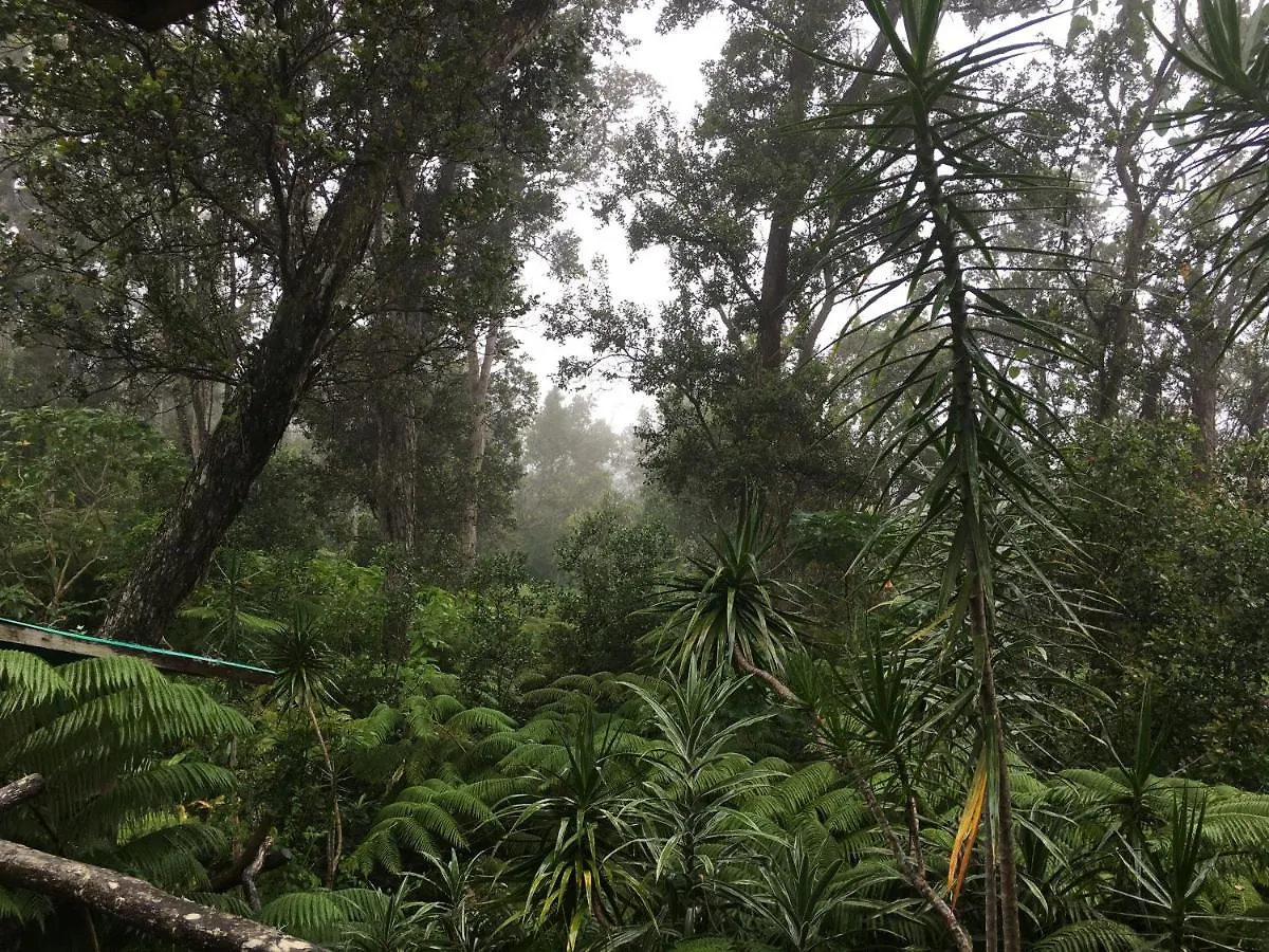 Peaceful Sanctuary In Hawaiian Cloud Forest Kailua-Kona 0*,  United States