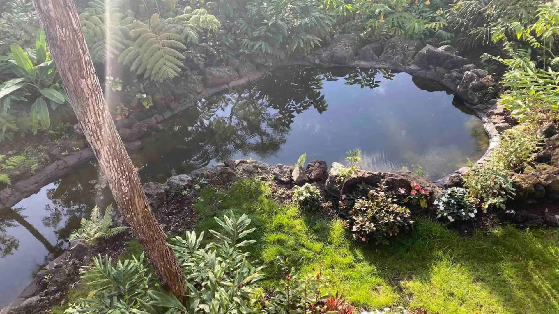 Peaceful Sanctuary In Hawaiian Cloud Forest Kailua-Kona 0*,  United States