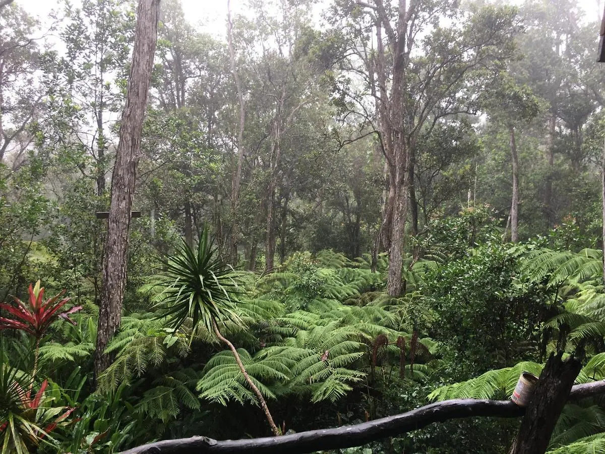 קאילואה-קונה Peaceful Sanctuary In Hawaiian Cloud Forest ארצות הברית