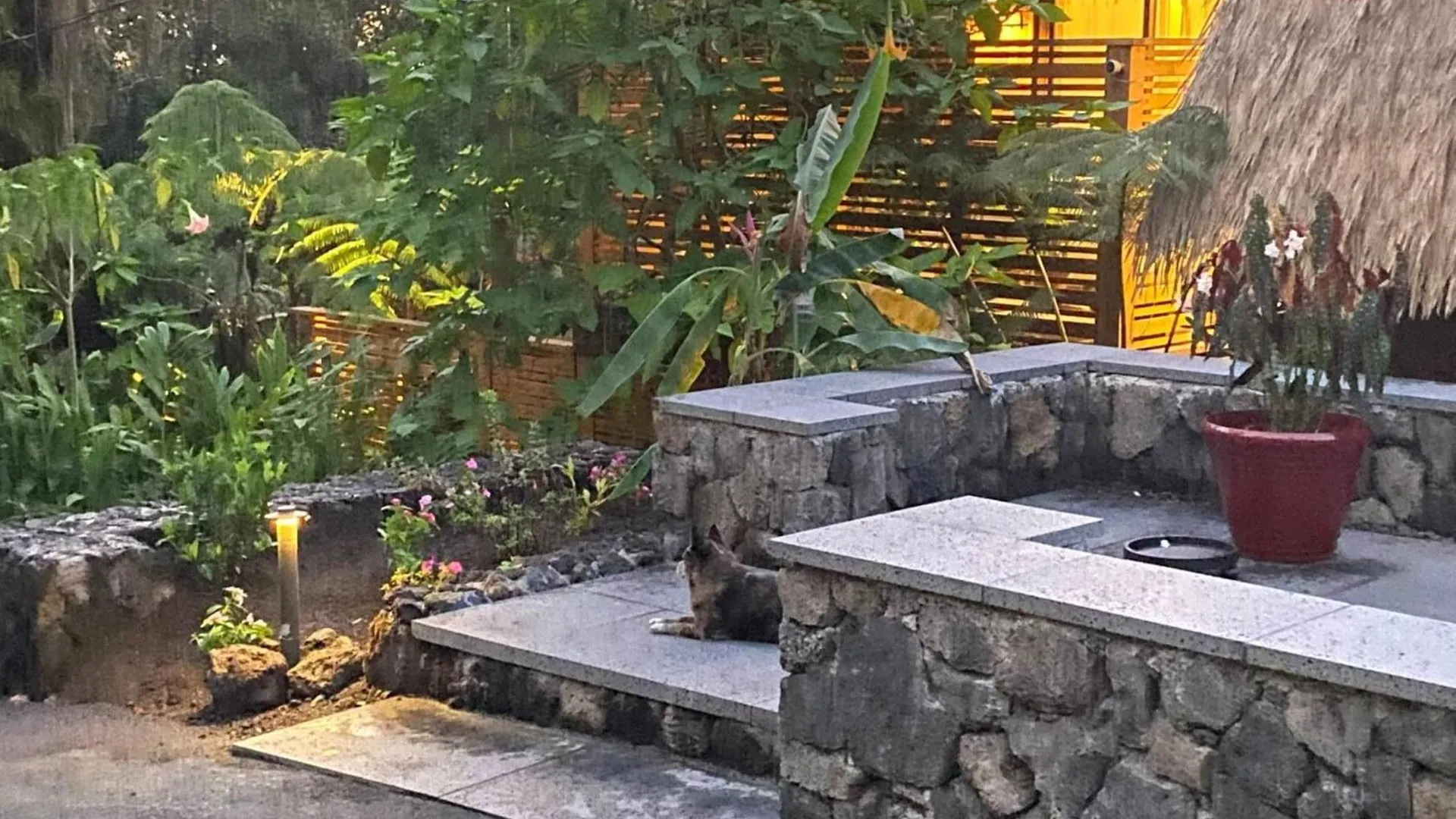 קאילואה-קונה Peaceful Sanctuary In Hawaiian Cloud Forest 0*,  ארצות הברית